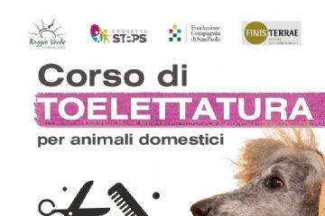 Corso di toelettatura